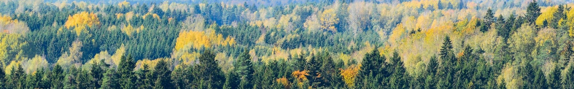 Vaade Suure Munamäe vaatetornist sügisel. Fotograaf Kaisa Äärmaa