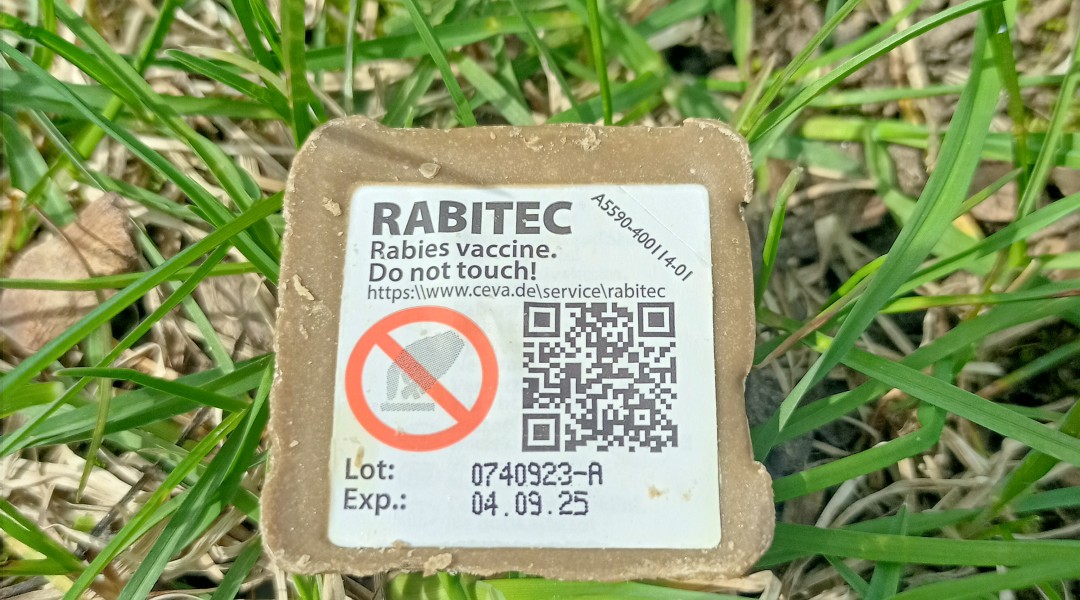 Metsloomade vaktsineerimine marutaudi vastu