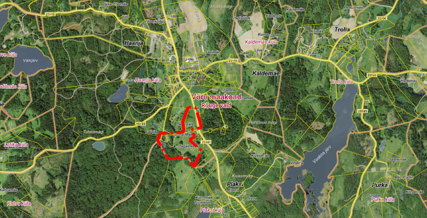 Uue-Haani detailplaneeringu asukohaskeem. Väljavõte detailplaneeringust