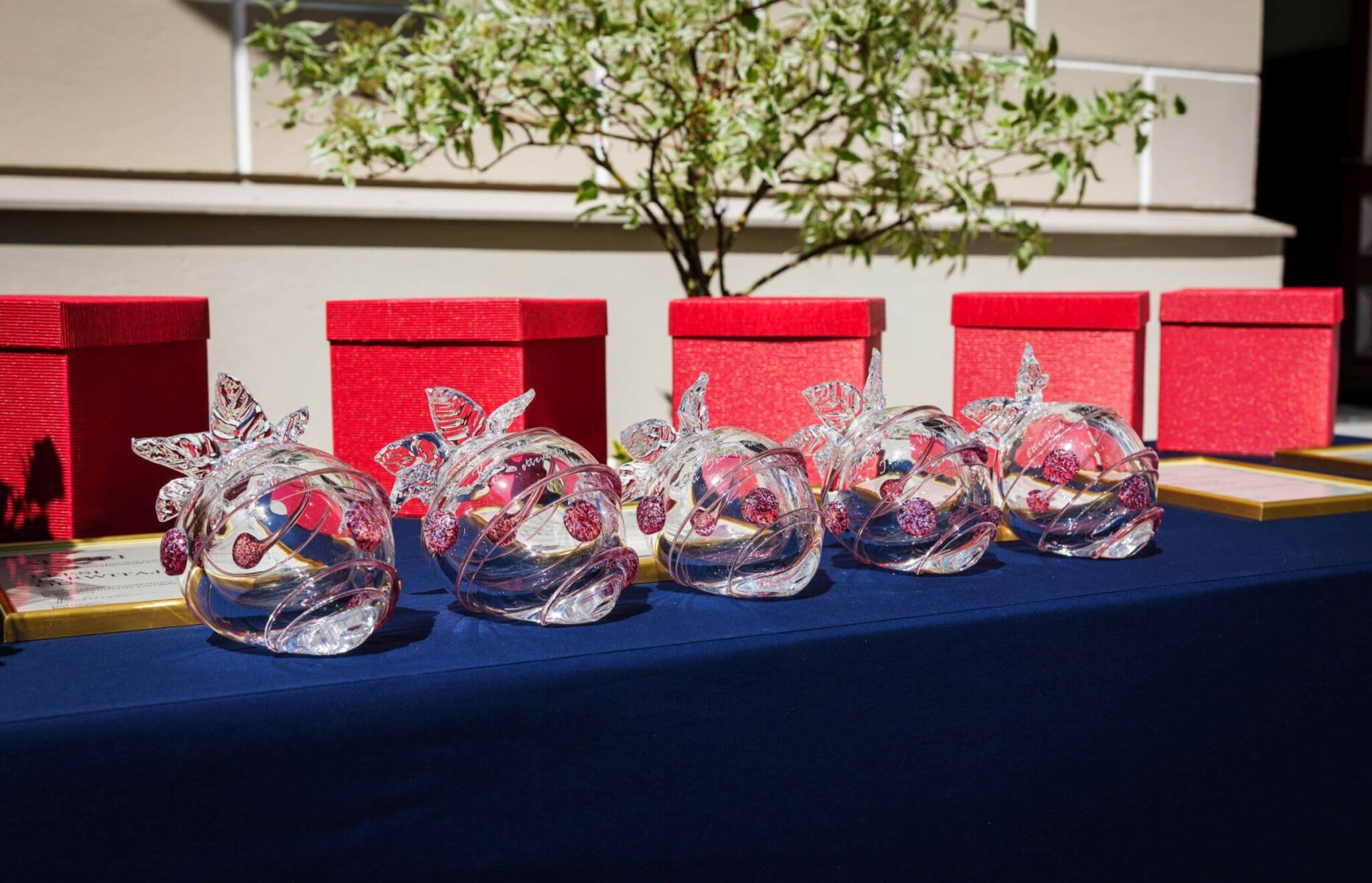 Regionaalmaasikas-Foto-Raul-Mee